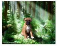 pet memorials