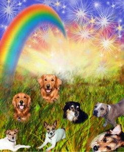 the rainbow bridge