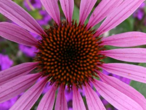 funeral flowers