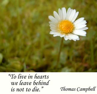 Grief and Loss